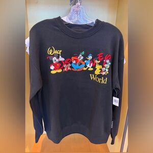 Disney parks Sweatshirt WDW 2026
